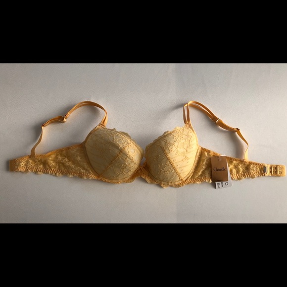 NWT Chantelle Rive Gauche push up Bra #3082 36D - Picture 4 of 12